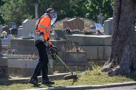 Une grande opération d'entretien des cimetières menée en juillet |  LeHavre.fr